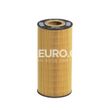 Hengst Engine Oil Filter 6061800009